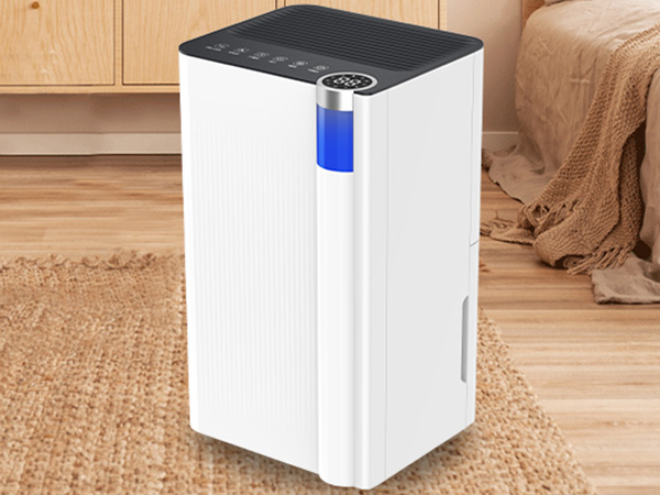 Home Dehumidifier D031G